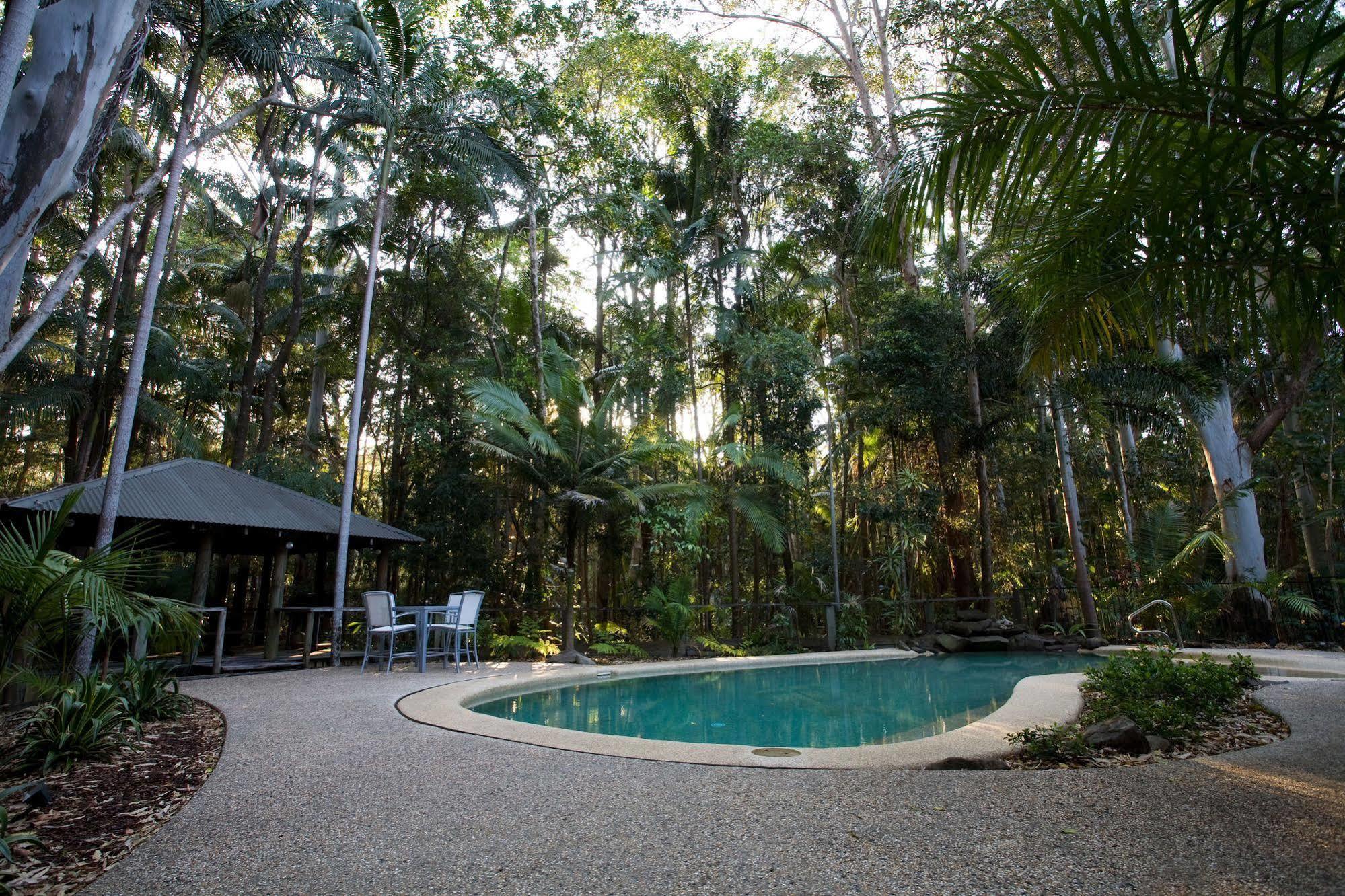 Amore On Buderim Rainforest Cabins Sunshine Coast Bagian luar foto